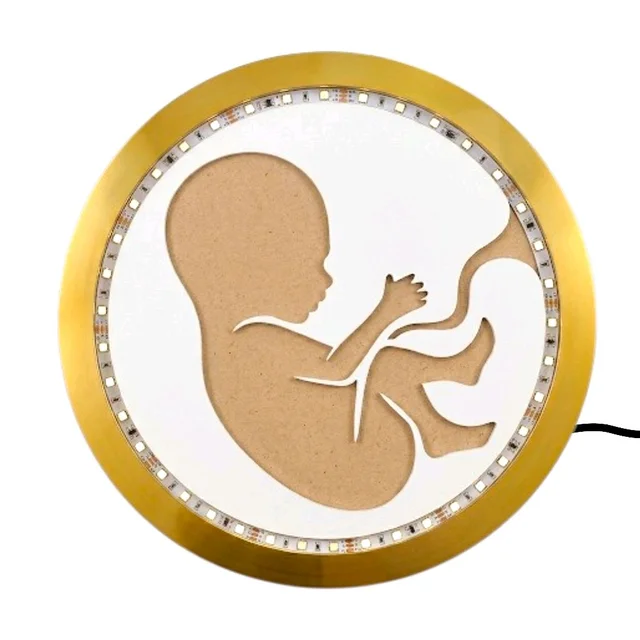 LED Baby In Womb Resin Preservation Frame - 18"