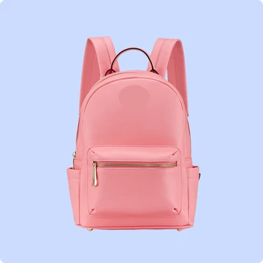 Ledish College bags