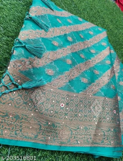 Organza Stone Work Saree - FREE DELIVERY