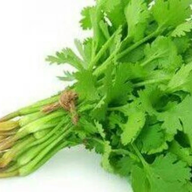 Fresho Green Coriander / हरा धनिया - 100Gm