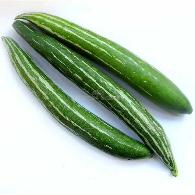 Fresho CHICHINDA - 1 Kg