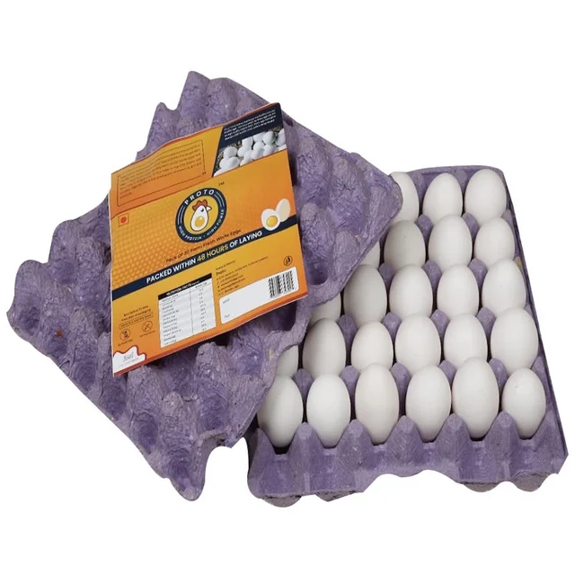 PROTO Eggs - 30 Pcs.