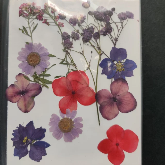 Dry Flower Sheet 06