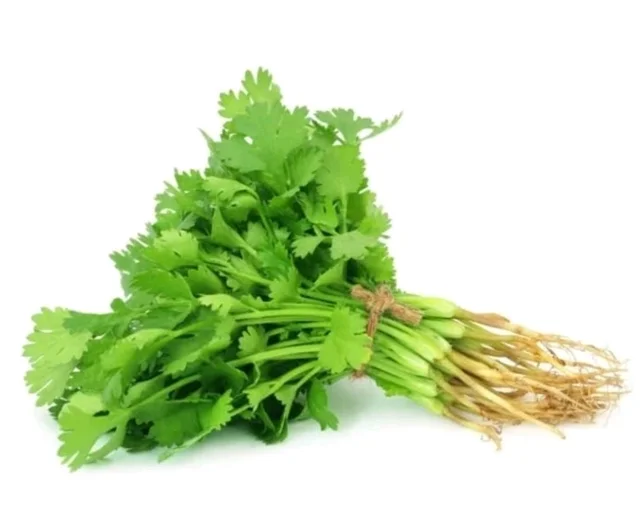 Coriander -Hara Dhaniya - 100gm