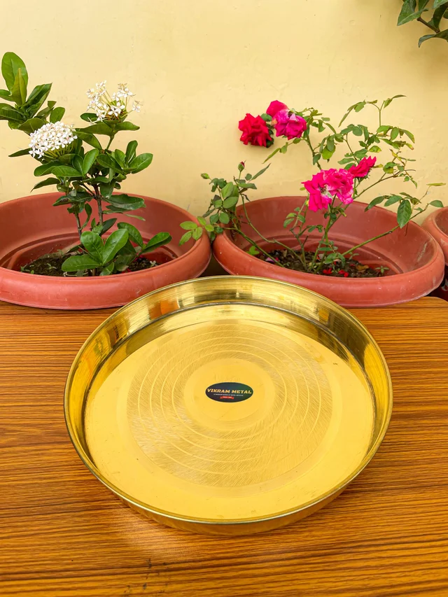 VIKRAM METAL Brass Dinner Plate - 10.2 INCH, GOLDEN