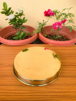 VIKRAM METAL Brass Dinner Plate - 10.2 INCH, GOLDEN