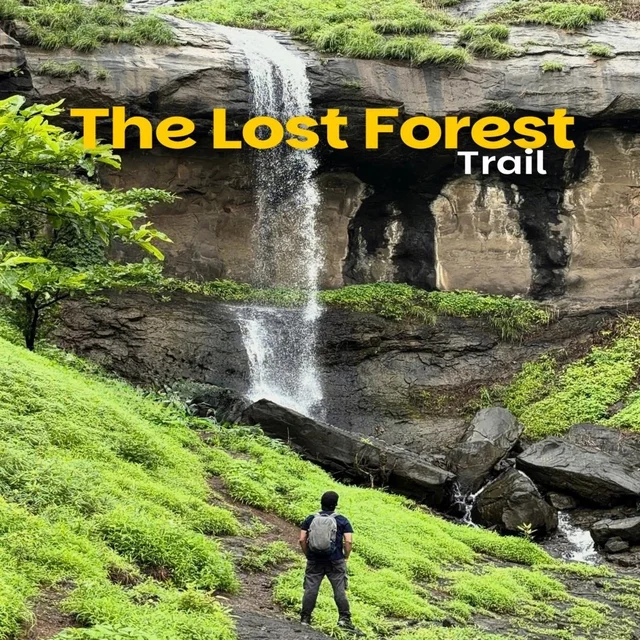 The Lost Forest Trail - Trek and Waterfall Experience - 23rd Aug