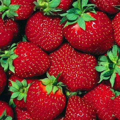 Strawberry - 09AM-09PM, 500Gram