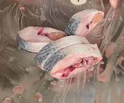 Tolki Fish (Fish Cutting) - 250Gram