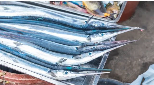 Tolki Fish (Fish Cutting) - 500Gram