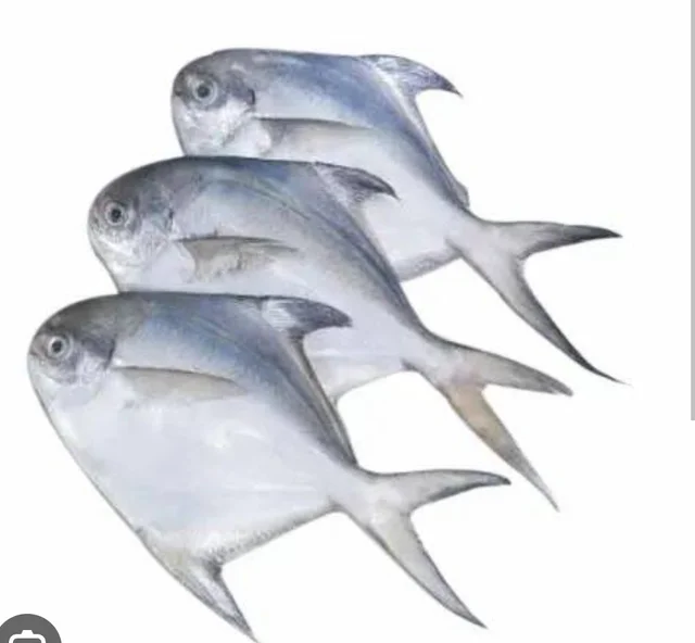 Paplet Fish (Fish Cutting) - 750Gram