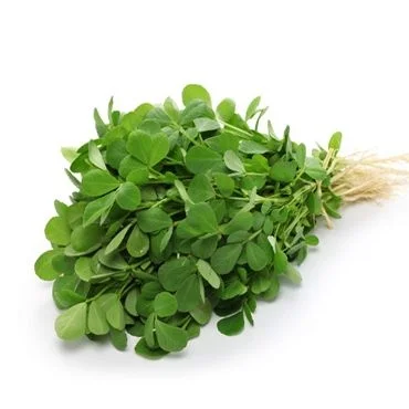 Fenugreek (मेथी)