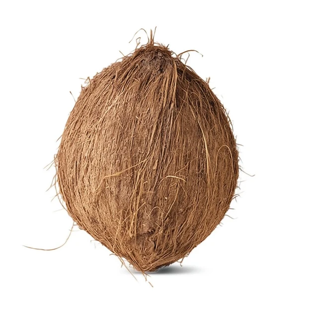 Coconut / Nariyal