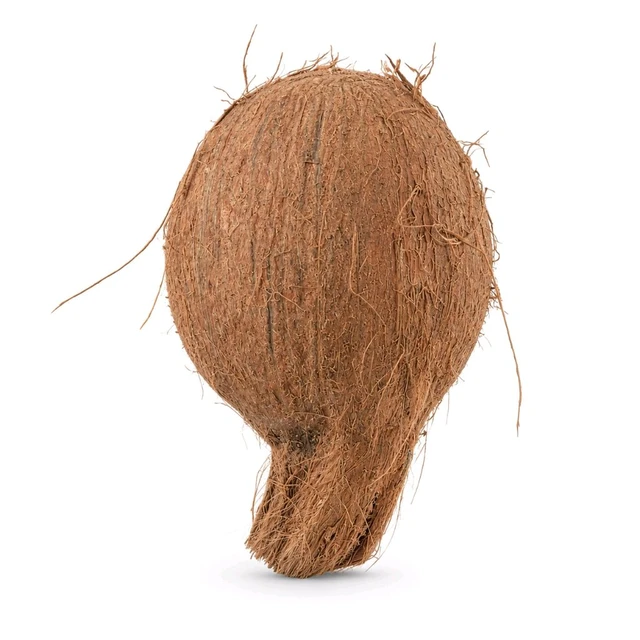Coconut / Nariyal