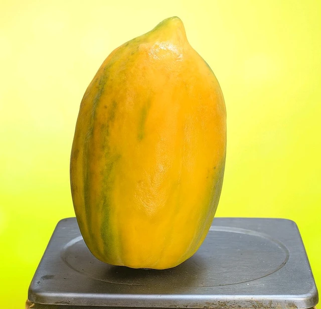 Papaya / Papita - 1kg