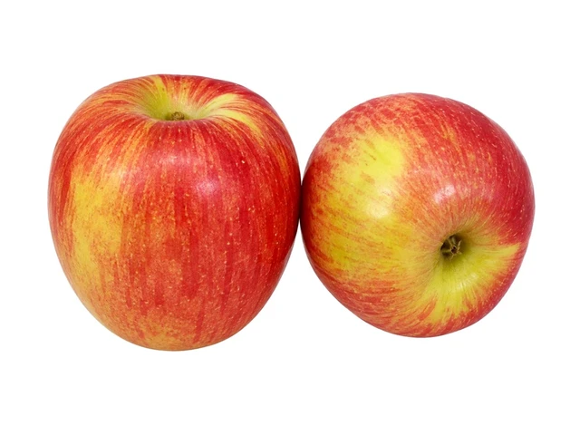 Regular Apple (Small)