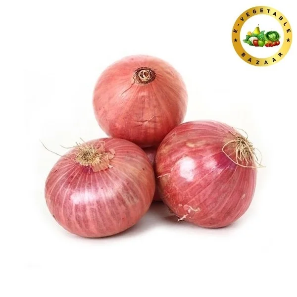 Onion (प्याज) New