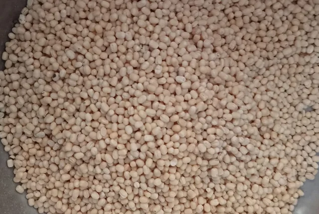 Urad Dal - Urad Dal 500g For Rs 60