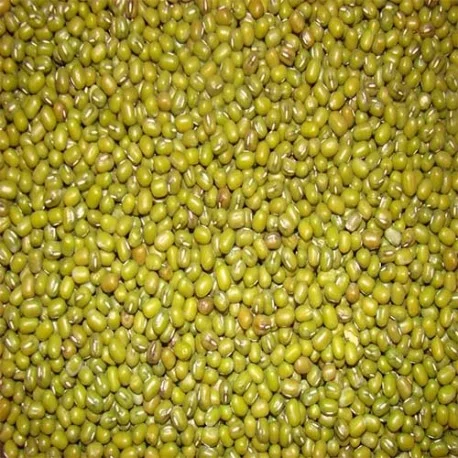 Moong Gota