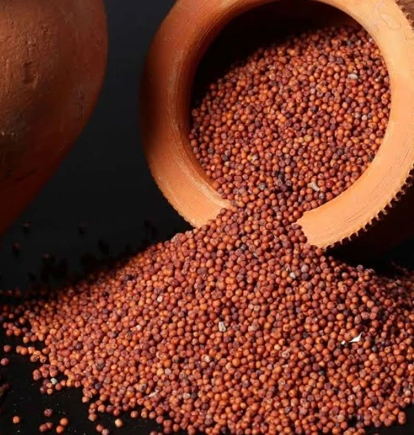 Ragi Millet