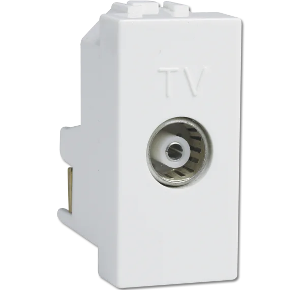 Havells Coral TV Socket