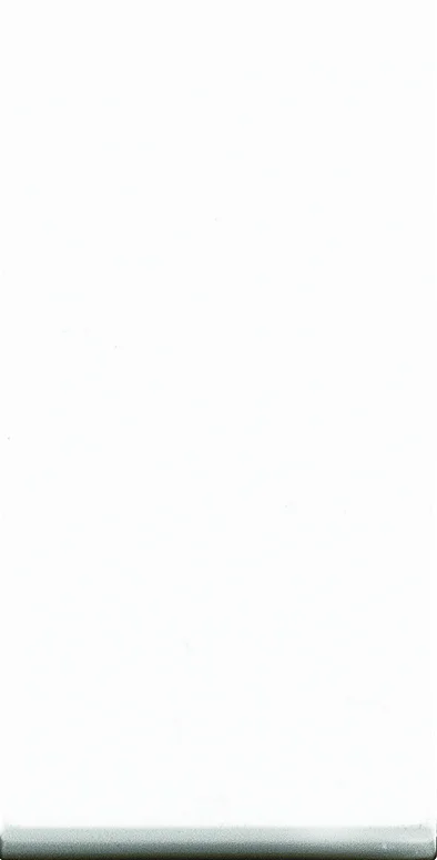 Lisha Blank Plate- White