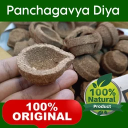 Panchagavya Vilakku - பஞ்சகவ்ய விளக்கு - 100 - PC's