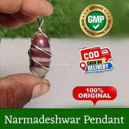 Original Shivling Narmadeshwar Pendant from Narmada River (20mm- 25mm) or( 30mm-35mm) free 2x2 inches Yantra from Haridwar - 🔴 Prepaid Only