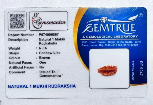 1 Mukhi Rudraksha - 🔴 Prepaid Only