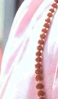 Original Himalaya Rudraksh Mala - 5 faces (8mm) with Certificate - 🔴 Prepaid Only