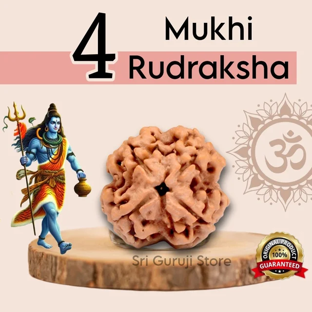 4 Mukhi Rudraksha -