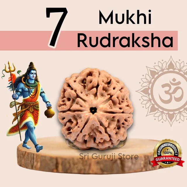 7 Mukhi Rudraksha -
