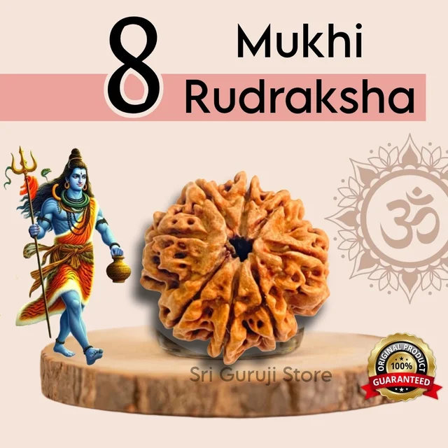 8 Mukhi Rudraksha - 🔴 Prepaid Only