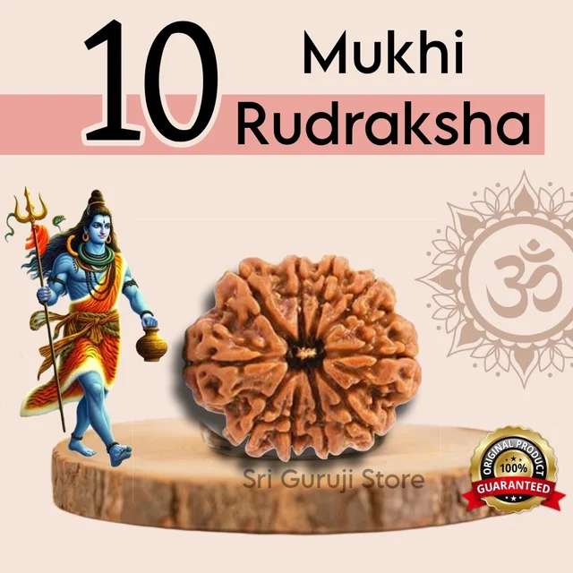 10 Mukhi Rudraksha - 🔴 Prepaid Only