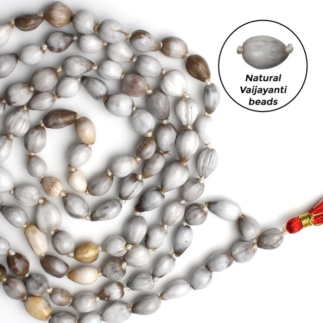 Vaijayanti Mala -Original - 🔴 Prepaid Only