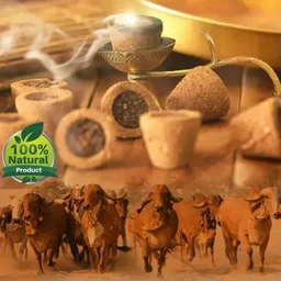 Cow Dung Cup Sambrani - (Pack of 250 Pcs) - 🔴 Prepaid Only