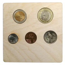 2018 - 2023 Colombia Coins - Wooden Display Set