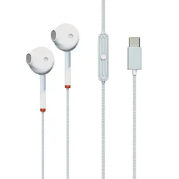 Bass Factory TC-286 Type-C Earphones - Black