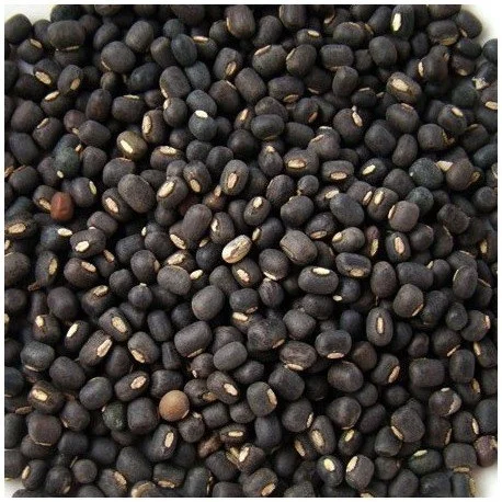 Urad Dal (Mah) – Loose