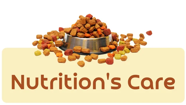 Nutritional Food