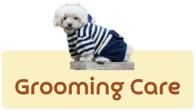 Grooming Products