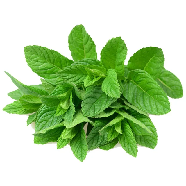 Mint Leaves (Without Roots) 150 Grams Pudina पुदीना 150g