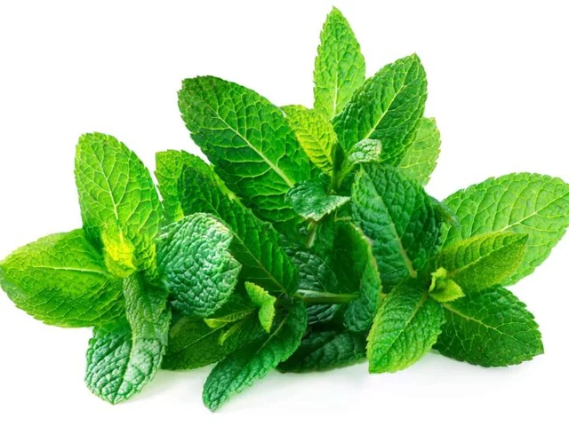 Mint Leaves (Without Roots) 150 Grams Pudina पुदीना 150g