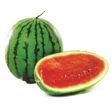 Watermelon 2 TO 3 Kg (तरबूज' ಕಲ್ಲಂಗಡಿ Lalmi )
