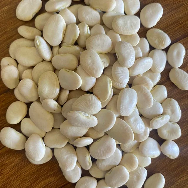 Premia Wal Papdi: 500 Grams. - Wal Papdi: 500 Gms