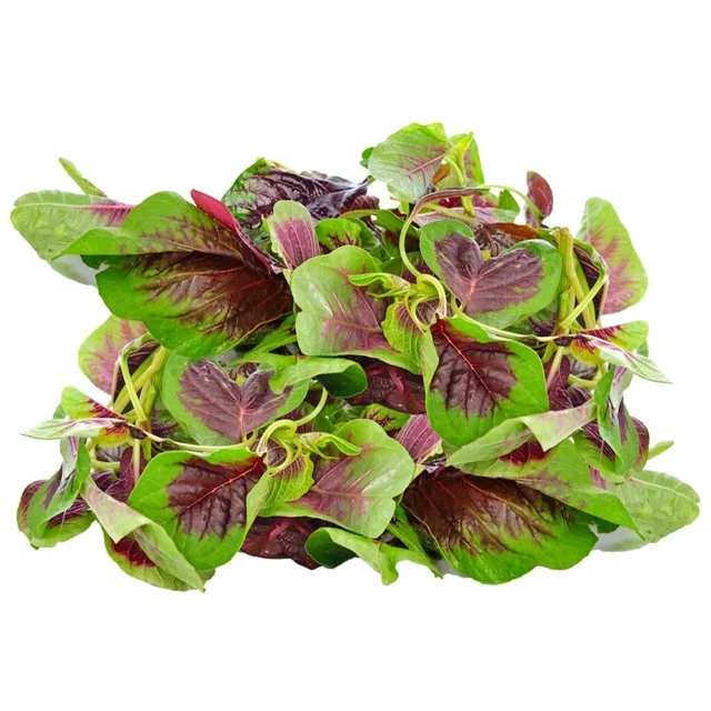 Amaranthus (Red / Green) Seeds - 300 Grams