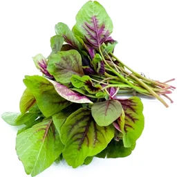 Amaranthus (Red / Green) Seeds - 300 Grams