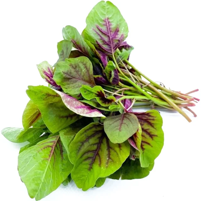 Amaranthus (Red / Green) Seeds - 300 Grams