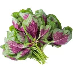 Amaranthus (Red / Green) Seeds - 300 Grams