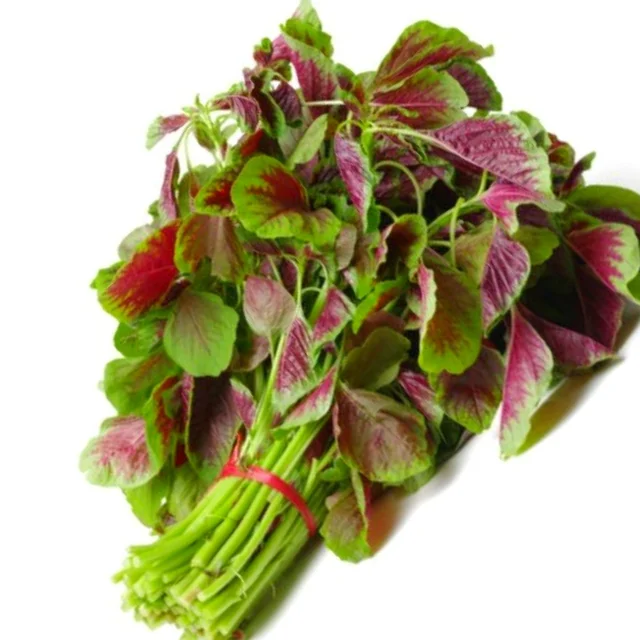 Amaranthus (Red / Green) Seeds - 300 Grams